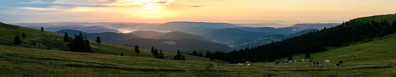 Schwarzwald